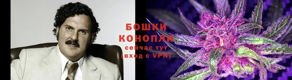 ECSTASY Кодинск